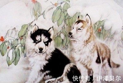 生肖|未来19天,三大生肖好运持久,接福接喜,一切顺利,事业春风得意