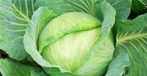 空心菜|女性不想成黄脸婆,多吃三种蔬菜,排毒养颜,美容抗衰,好处多多