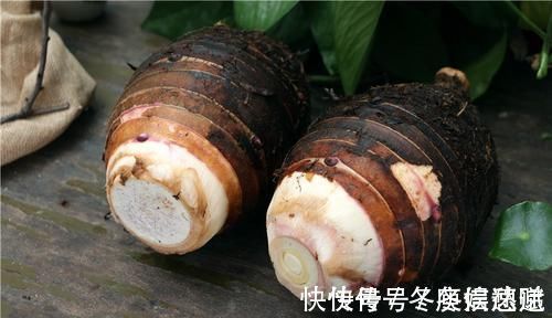 山药|胃不好别总吃药!6种食物换着吃,养胃护胃,赶走“幽门螺杆菌”