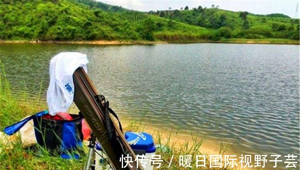 夏季|夏季野钓,遇上杂鱼疯狂闹窝,你会如何处理?是收杆还是继续守?