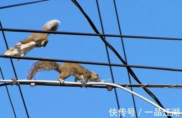 24个冷知识:生物老师看完直呼不可思议,但却真实存在的有趣知识