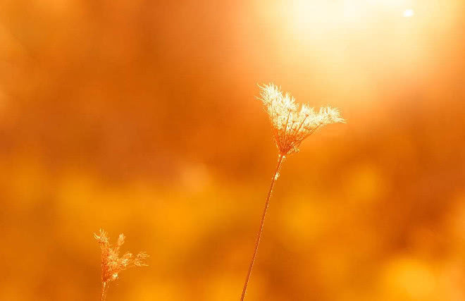 癌症|4个患癌后死里逃生的肿瘤科医生，亲自列出了生活忠告！