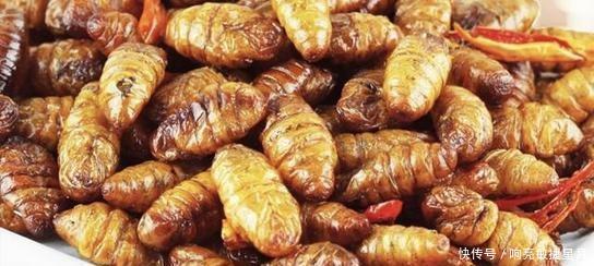 梯田|哈尼山寨中鲜为人知的食俗风情