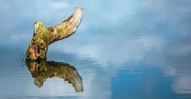 天气一变冷，我的钓位就固定在这5个地方，全上大鲫鱼，超过瘾！