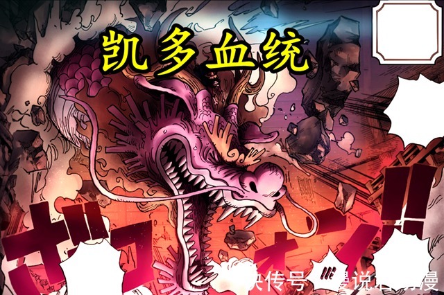 恶魔果实|海贼王:路飞大和桃之助,严格来说,三人都是凯多门徒
