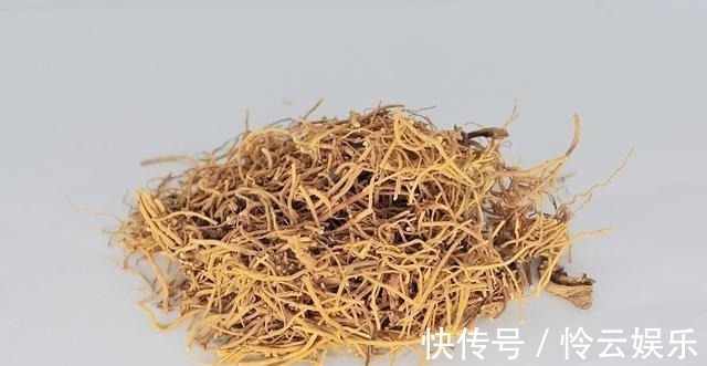 饵料要香甜可口,钓鱼才会好用别犯傻,这反而是个圈套