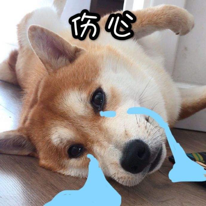 |搞笑段子:楼下的张婶是个热心肠的人