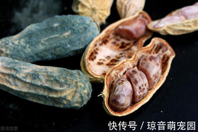 危害|家里有这5种变质东西，请抓紧丢掉，危害不亚于“酸汤子”，切记