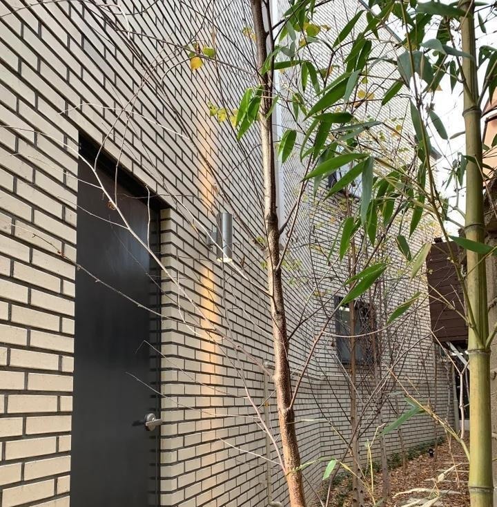 卫浴|建筑师执着于10年老洋房,110㎡三层没有客厅,星空露台!爽快极了