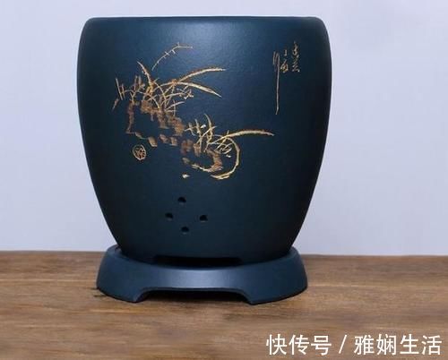 君子兰换盆的时间，养了这么多年，换盆时间终于选对了