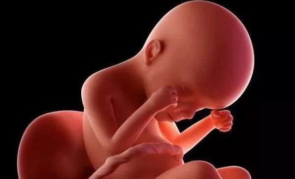 画面|孕妇睡觉的时候，胎儿在做什么呢画面太美不敢看