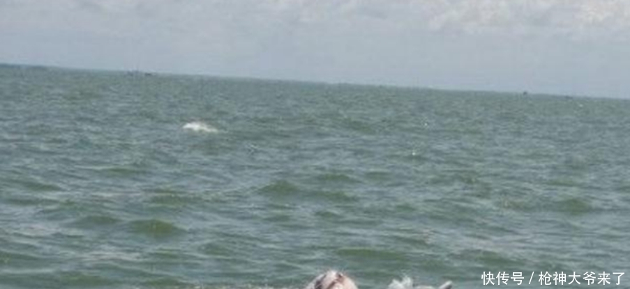 海上漂浮神奇麻袋，引来游玩游客注意，仔细一看全都沉默了