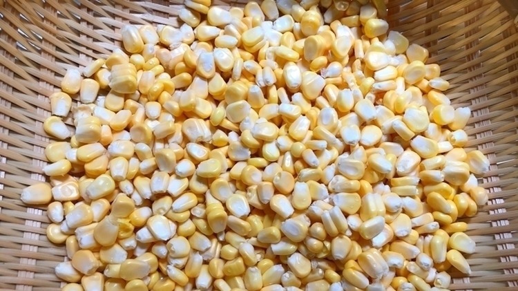 它比豆浆好喝,比奶茶健康,每天给孩子喝一杯,增强记忆又长个