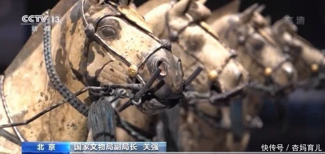 副局长|一大批博物馆升级！我国2035年基本建成世界博物馆强国