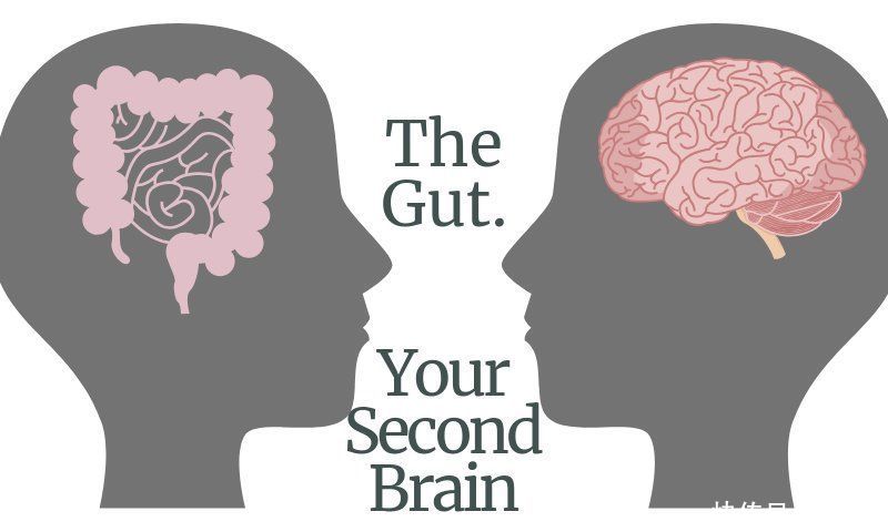 碳水化合物|你在为谁吃饭？看懂了就知道人为什么会生病 (1)