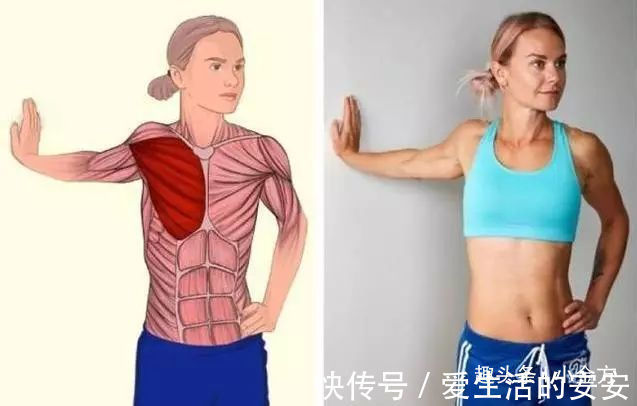 肌肉|终于找到了,这套全身拉筋3D图解,打通全身经络,太难得了