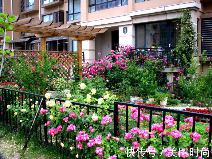 阳台上|为建花园,不顾反对买了一楼带院子,3年的亲手布置朋友都羡慕了