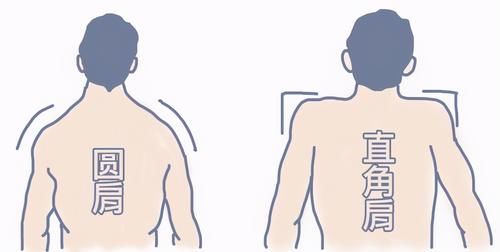 气质|女性提高气质首选的直角肩，这三大动作帮你养成