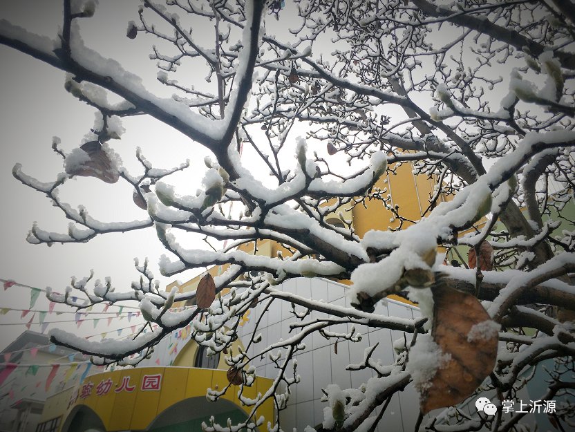 初雪来袭：你在朋友圈晒雪景，我在雪中守护你