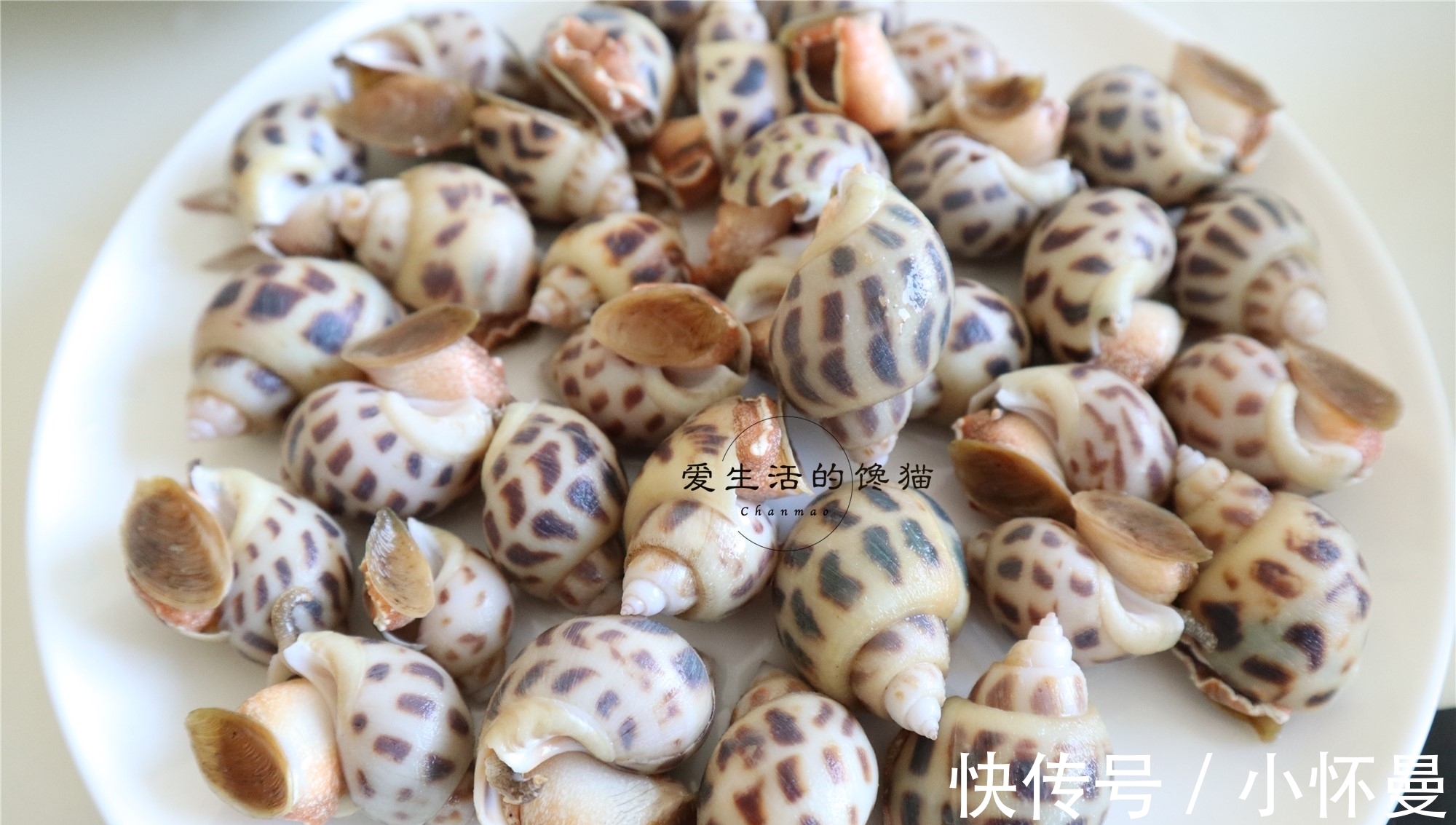 花蟹|老公说要吃海鲜,出门买了满满一桌,花了3百多,您看值不值?