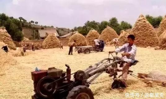 满满的|二十多年前收麦子的老照片,满满的丰收喜悦