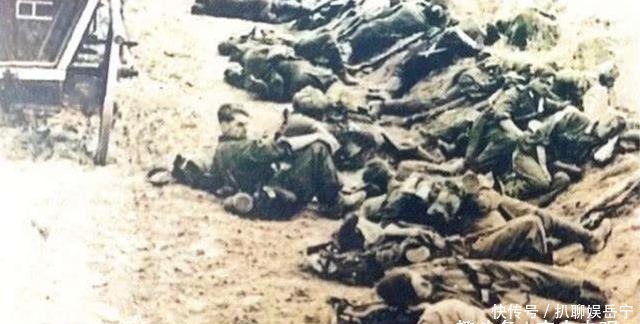 称号|全球那么多国家,为何唯独俄罗斯称战斗民族?这三点至今无人超越