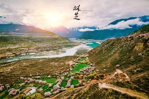 【游学营】这个春天跟雷波老师去林芝，拍桃花吧