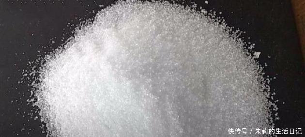 养殖君子兰注意做对三点,花箭噌噌蹿,再也不夹箭!