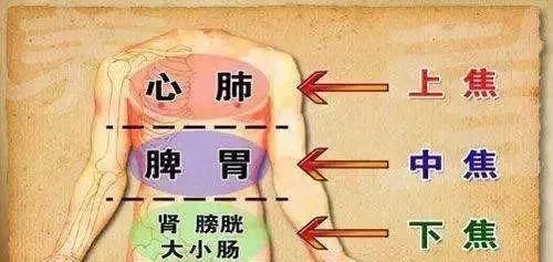 药引|猪板油，中国人自古以来的庇护神！健脾润肺，打通三焦的天然药引