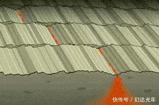 生物的秘密 板块运动对生物的塑造