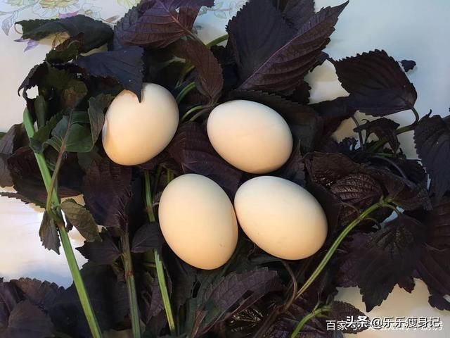 紫苏|三伏天,我家最馋这煎饼,滋补又养生,体寒的先收藏