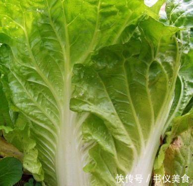 白菜|忠告炒大白菜不能放此物,吃了就是没病找病,现在知道还不晚