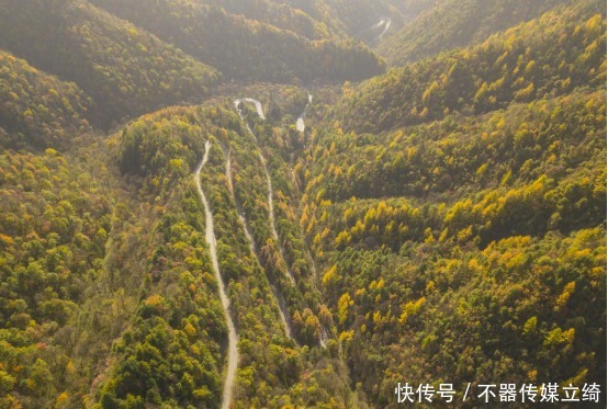  邂逅|百闻不如一见，邂逅黄柏塬醉美红叶，层林尽染漫山红遍