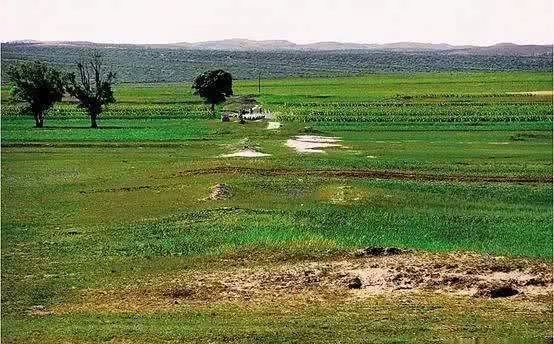 文化|穿越千年 寻找固阳怀朔古城的记忆