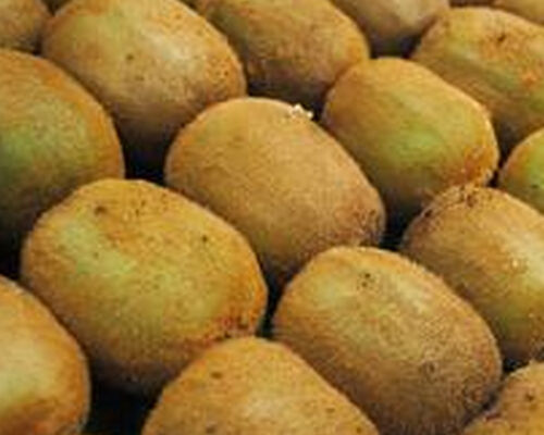 食用猕猴桃的好处与坏处