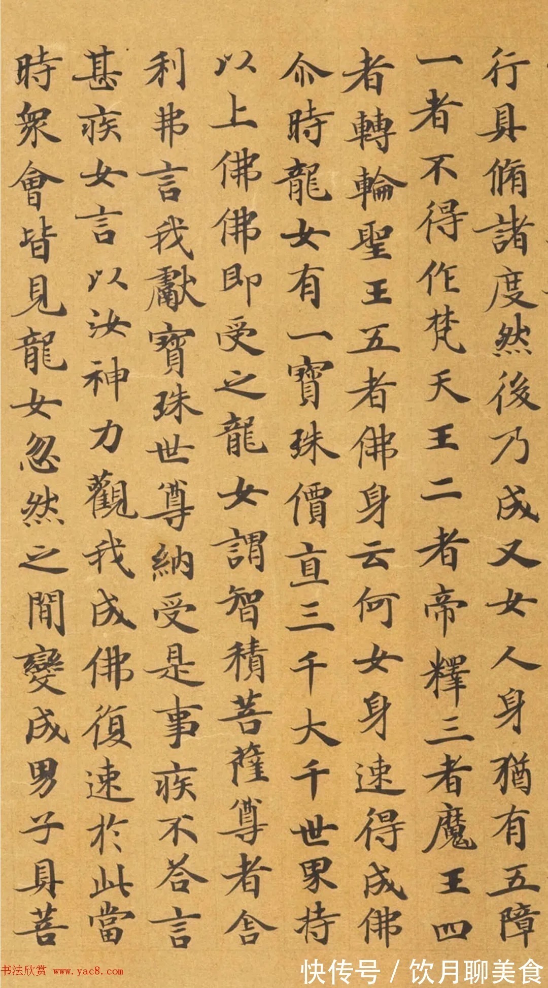 安昌$唐代封安昌楷书《妙法莲华经》虞世南之子监制