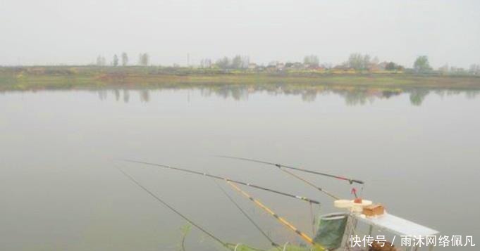 不少|狂拉后却遭到“停口”?老渔民说出实情,原来不少钓鱼人都做错了