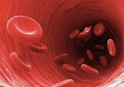 肠痈|它俩是中药界当之无愧的模范夫妻!强强联合,把体内瘀滞一网打尽