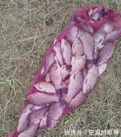 冬季野钓轻松上鱼7小招。