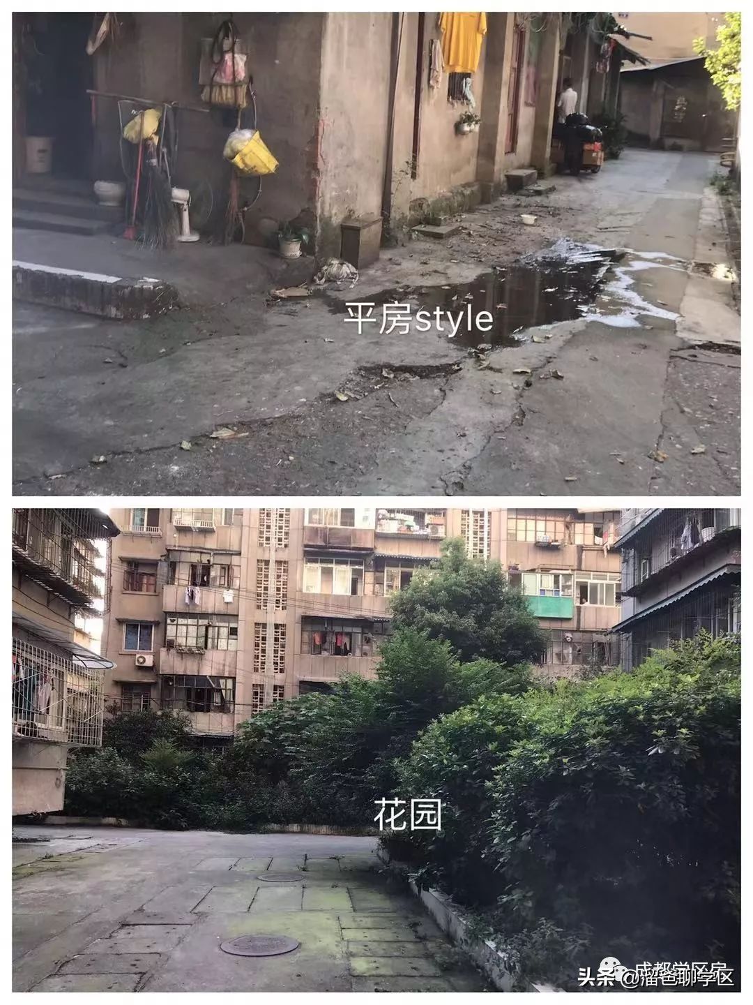 西胜街|成都“老破小”指导价最高打4折