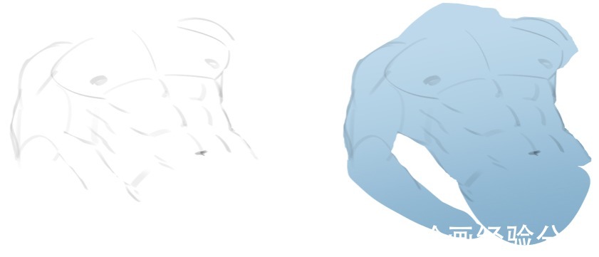 灵猫课堂|练不出腹肌我们可以画腹肌!教你腹肌上色的画法技巧!