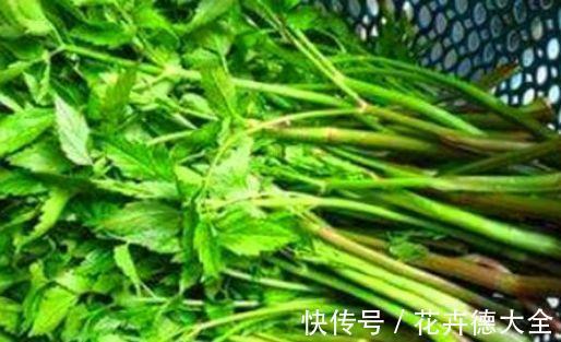 肠胃|好食物养出好身体，常吃3物，促进肠胃蠕动，润肠排便，滋养肌肤