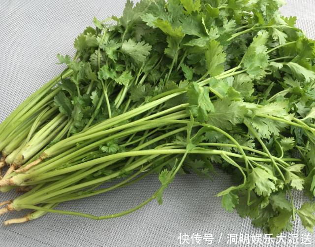  新鲜|香菜吃不完，婆婆用这种方法保存，香菜新鲜脆嫩，放一年都不会坏