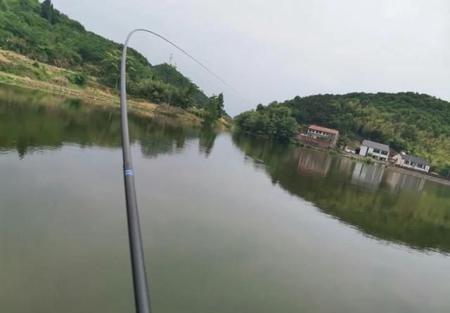 理想中的钓鱼VS现实中的钓鱼，新手看懵圈，老手看得扎心