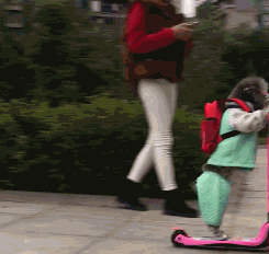 |搞笑GIF:摔成这样你这当妈的是不是很心痛?