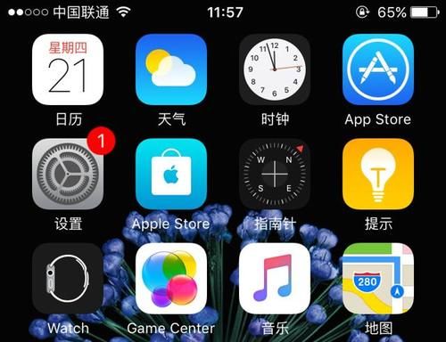 教你去除iPhone设置上烦人的“1”|技巧 | 烦人