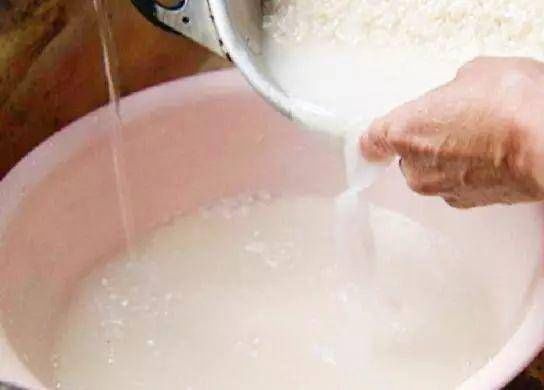 浇花|2种小药片,丢进水里用来浇花,土壤两年不板结,开花多长的旺