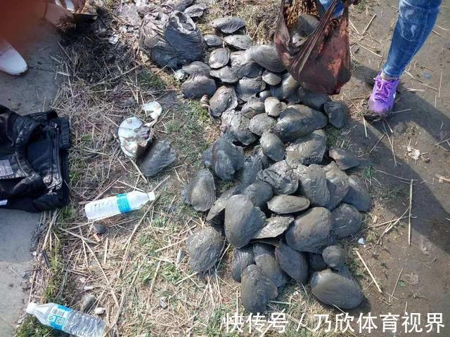 腥味|水库干涸大量“河鲜”搁浅淤泥，钓友捡回来一桶，这能吃？