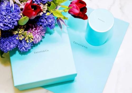 Tiffany 家最大的钻石，好闪！