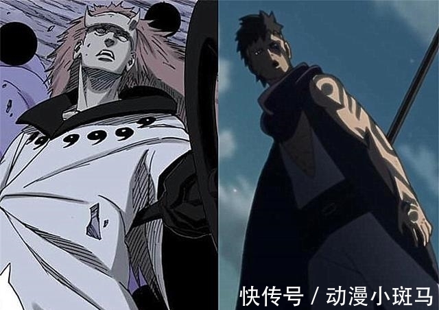 川木|“晓组织”与“壳组织”气场对比,谁更胜一筹?